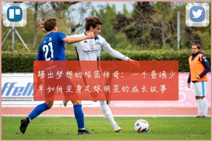 踢出梦想的绿茵传奇：一个普通少年如何变身足球明星的成长故事