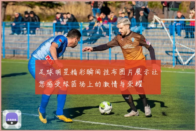足球明星精彩瞬间挂布图片展示让您感受绿茵场上的激情与荣耀