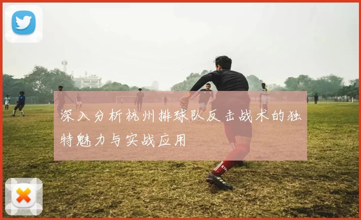 深入分析杭州排球队反击战术的独特魅力与实战应用