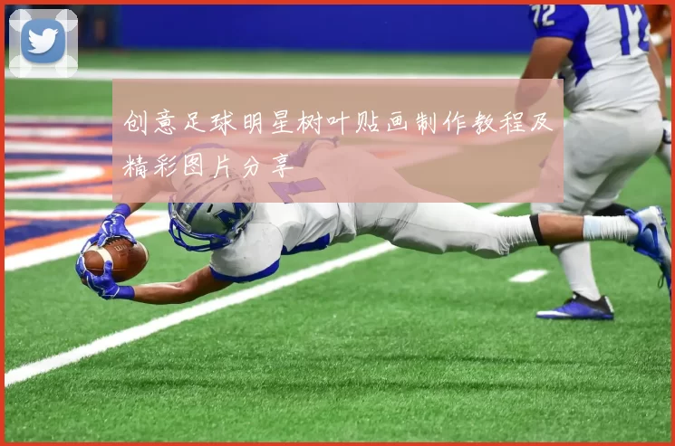 创意足球明星树叶贴画制作教程及精彩图片分享
