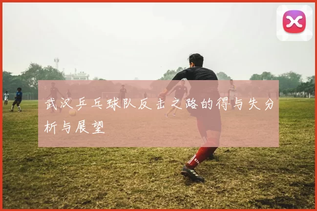 武汉乒乓球队反击之路的得与失分析与展望
