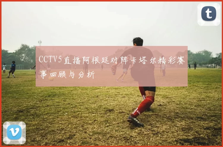 CCTV5直播阿根廷对阵卡塔尔精彩赛事回顾与分析