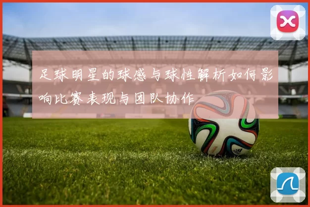 足球明星的球感与球性解析如何影响比赛表现与团队协作