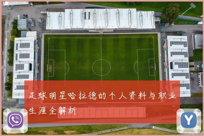足球明星哈拉德的个人资料与职业生涯全解析