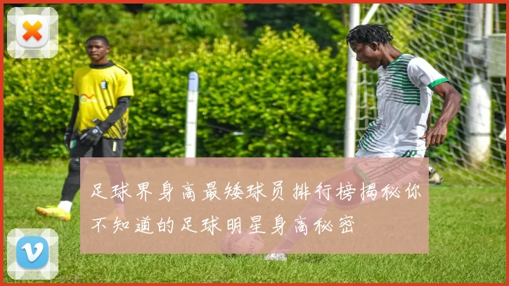 足球界身高最矮球员排行榜揭秘你不知道的足球明星身高秘密