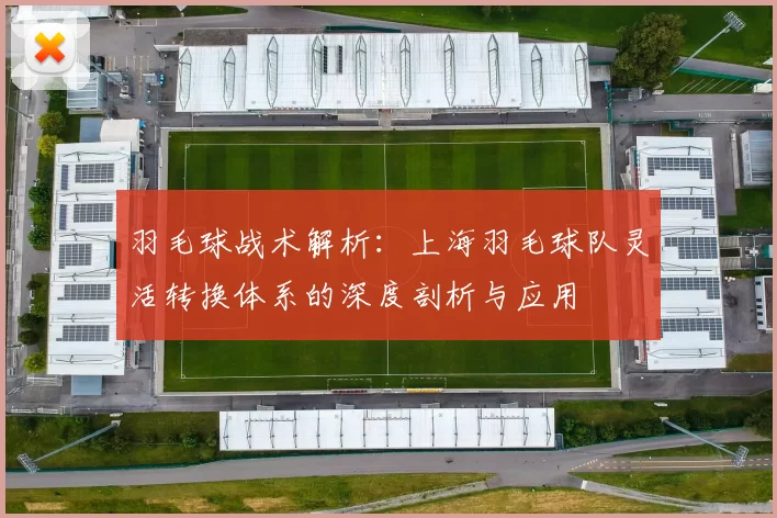 羽毛球战术解析：上海羽毛球队灵活转换体系的深度剖析与应用