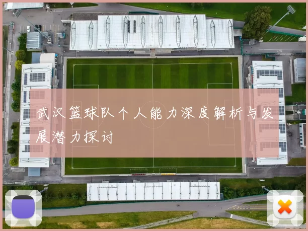 武汉篮球队个人能力深度解析与发展潜力探讨