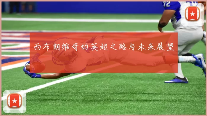 西布朗维奇的英超之路与未来展望