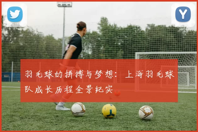 羽毛球的拼搏与梦想：上海羽毛球队成长历程全景纪实