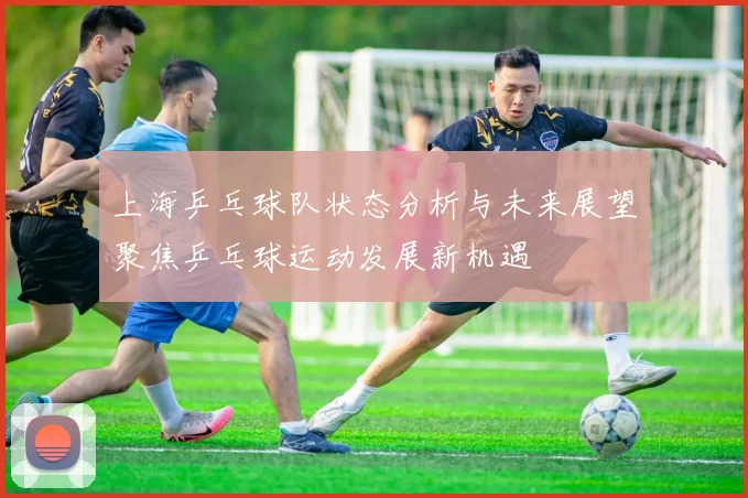 上海乒乓球队状态分析与未来展望聚焦乒乓球运动发展新机遇