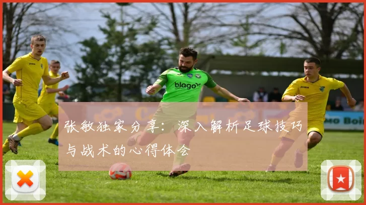 张敏独家分享：深入解析足球技巧与战术的心得体会