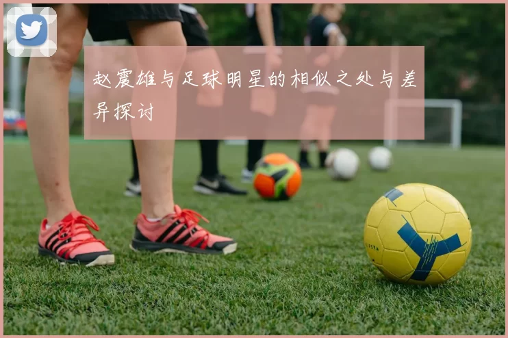 赵震雄与足球明星的相似之处与差异探讨