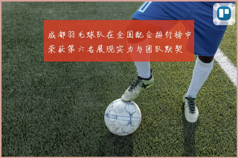 成都羽毛球队在全国配合排行榜中荣获第六名展现实力与团队默契