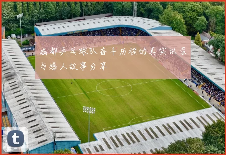 成都乒乓球队奋斗历程的真实记录与感人故事分享