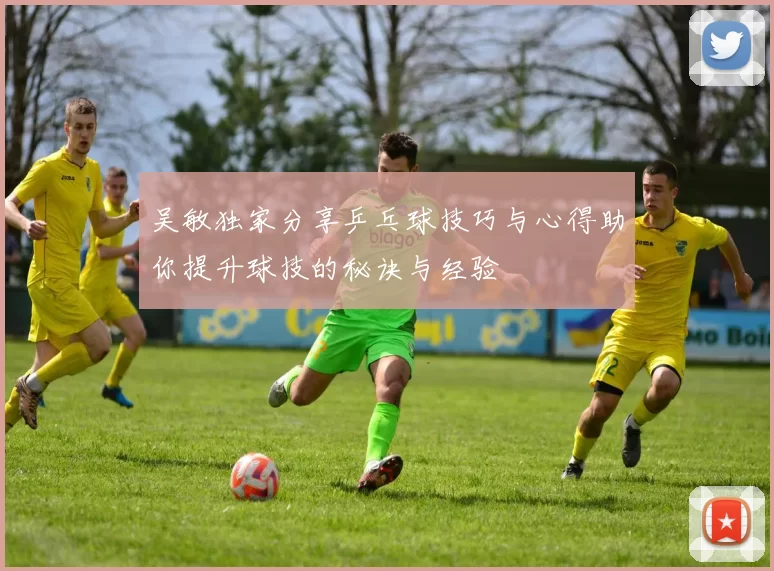 吴敏独家分享乒乓球技巧与心得助你提升球技的秘诀与经验