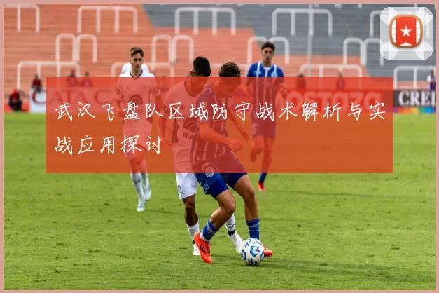 武汉飞盘队区域防守战术解析与实战应用探讨