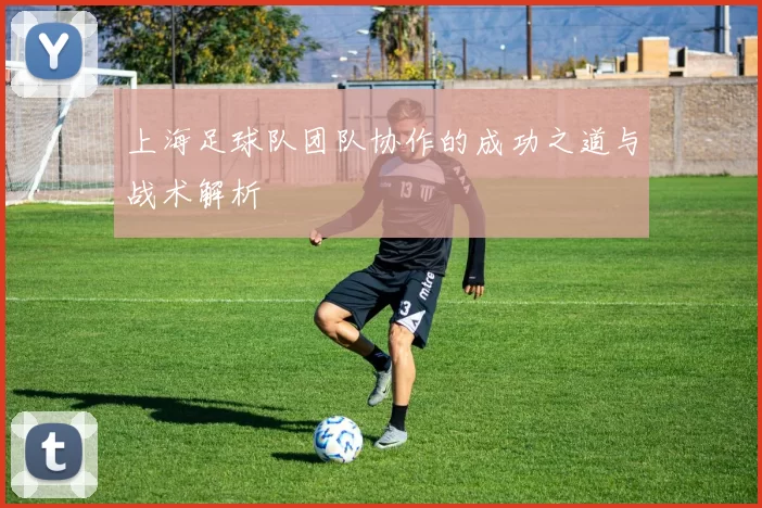 上海足球队团队协作的成功之道与战术解析