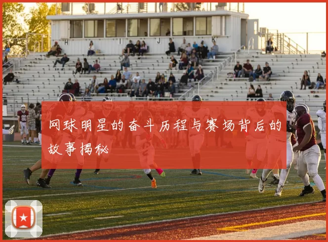 网球明星的奋斗历程与赛场背后的故事揭秘