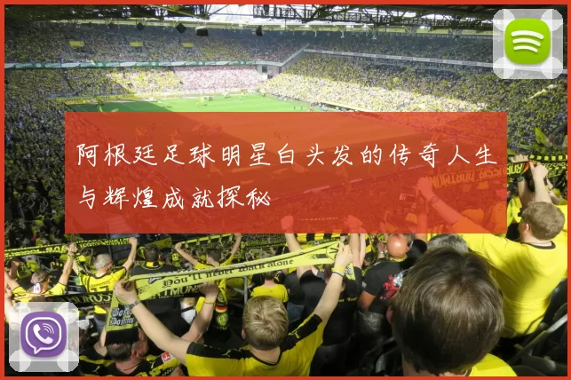 阿根廷足球明星白头发的传奇人生与辉煌成就探秘