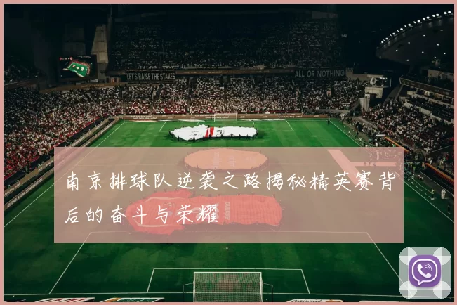南京排球队逆袭之路揭秘精英赛背后的奋斗与荣耀