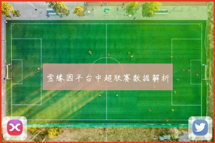 雪缘园平台中超联赛数据解析