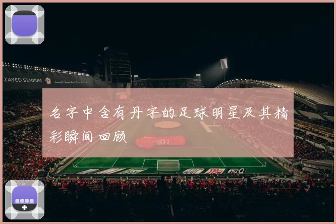 名字中含有丹字的足球明星及其精彩瞬间回顾