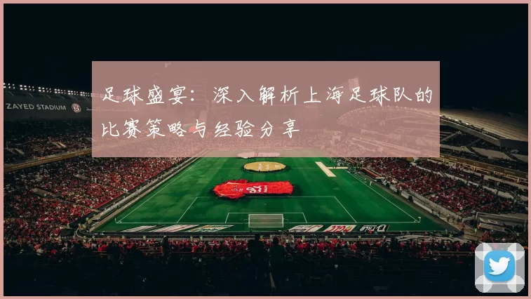 足球盛宴：深入解析上海足球队的比赛策略与经验分享