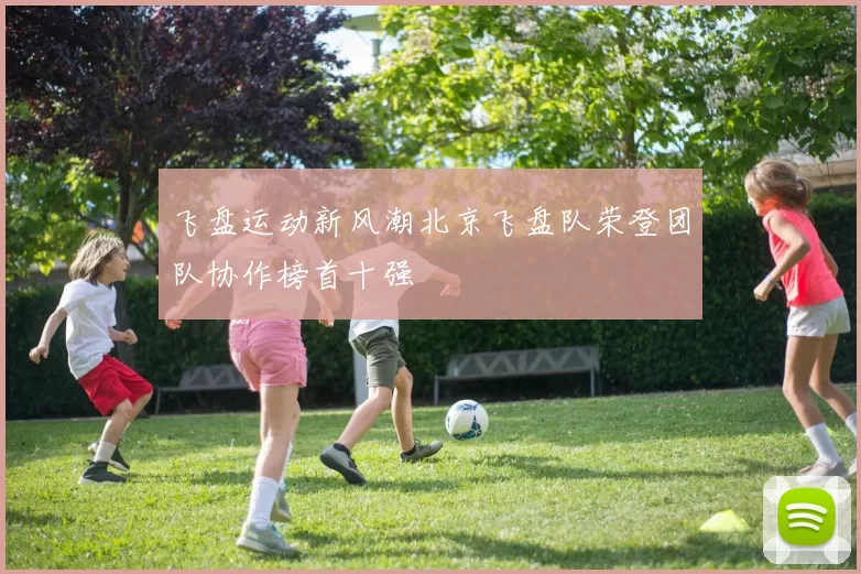 飞盘运动新风潮北京飞盘队荣登团队协作榜首十强