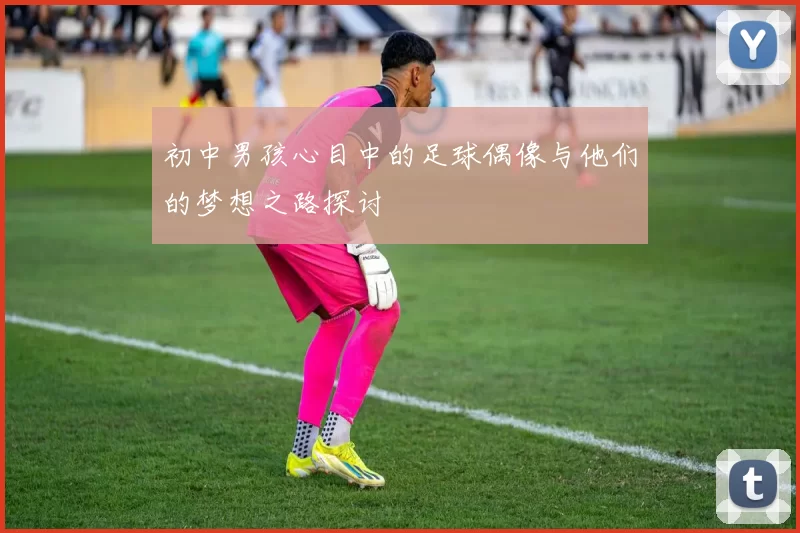 初中男孩心目中的足球偶像与他们的梦想之路探讨