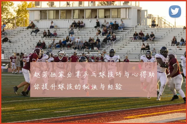 赵芳独家分享乒乓球技巧与心得助你提升球技的秘诀与经验