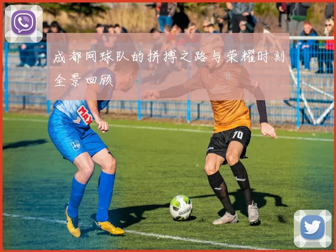 成都网球队的拼搏之路与荣耀时刻全景回顾