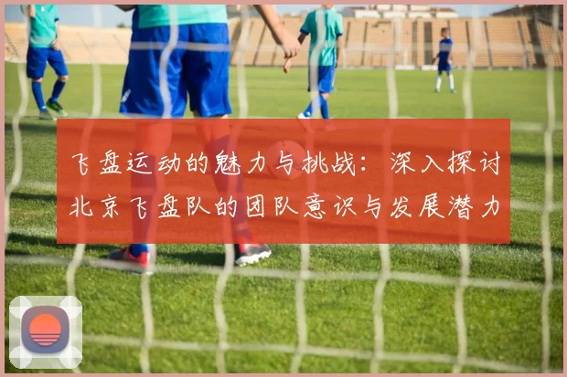 飞盘运动的魅力与挑战：深入探讨北京飞盘队的团队意识与发展潜力