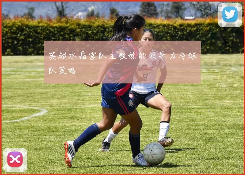 英超水晶宫队主教练的领导力与球队策略