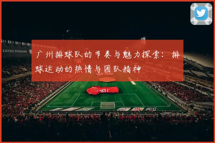 广州排球队的节奏与魅力探索：排球运动的热情与团队精神
