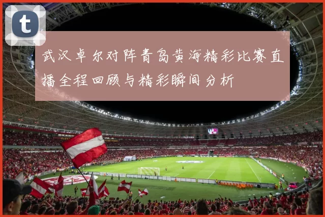 武汉卓尔对阵青岛黄海精彩比赛直播全程回顾与精彩瞬间分析