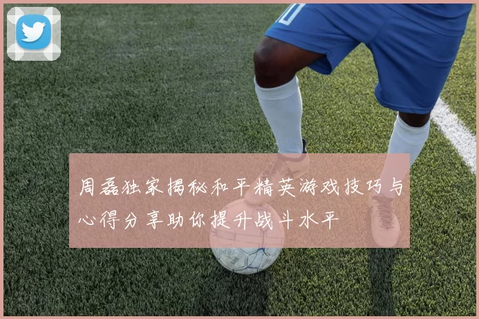 周磊独家揭秘和平精英游戏技巧与心得分享助你提升战斗水平